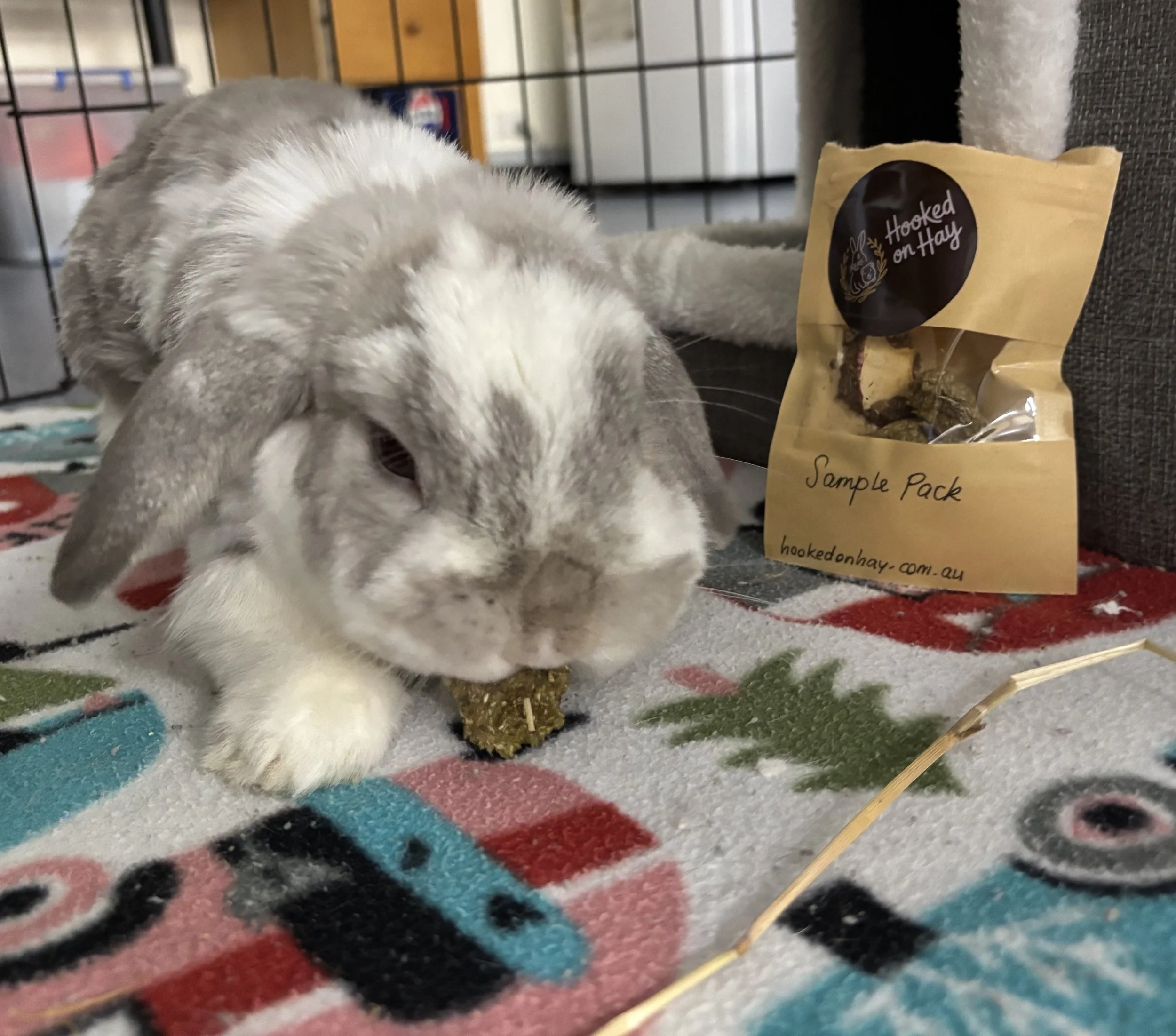 A rabbit eating hay from a small ball inside a cage next to a bag of hay labeled 'Sample Pack' from hookedonhay.com.au on a decorated blanket.