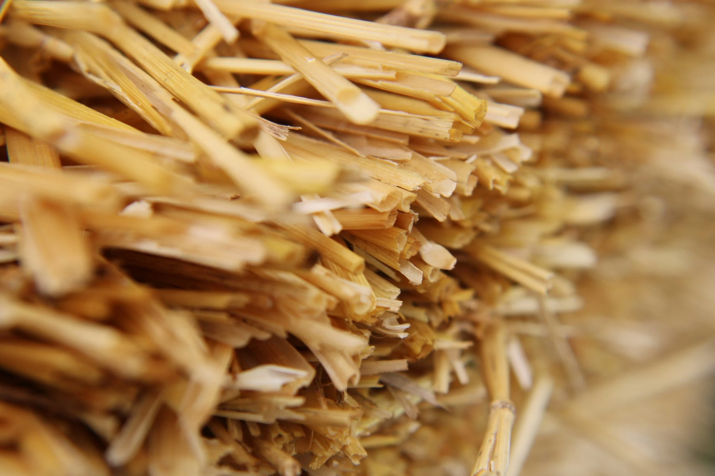 Timothy Hay vs Oaten Hay vs Meadow Hay: What’s the Difference?