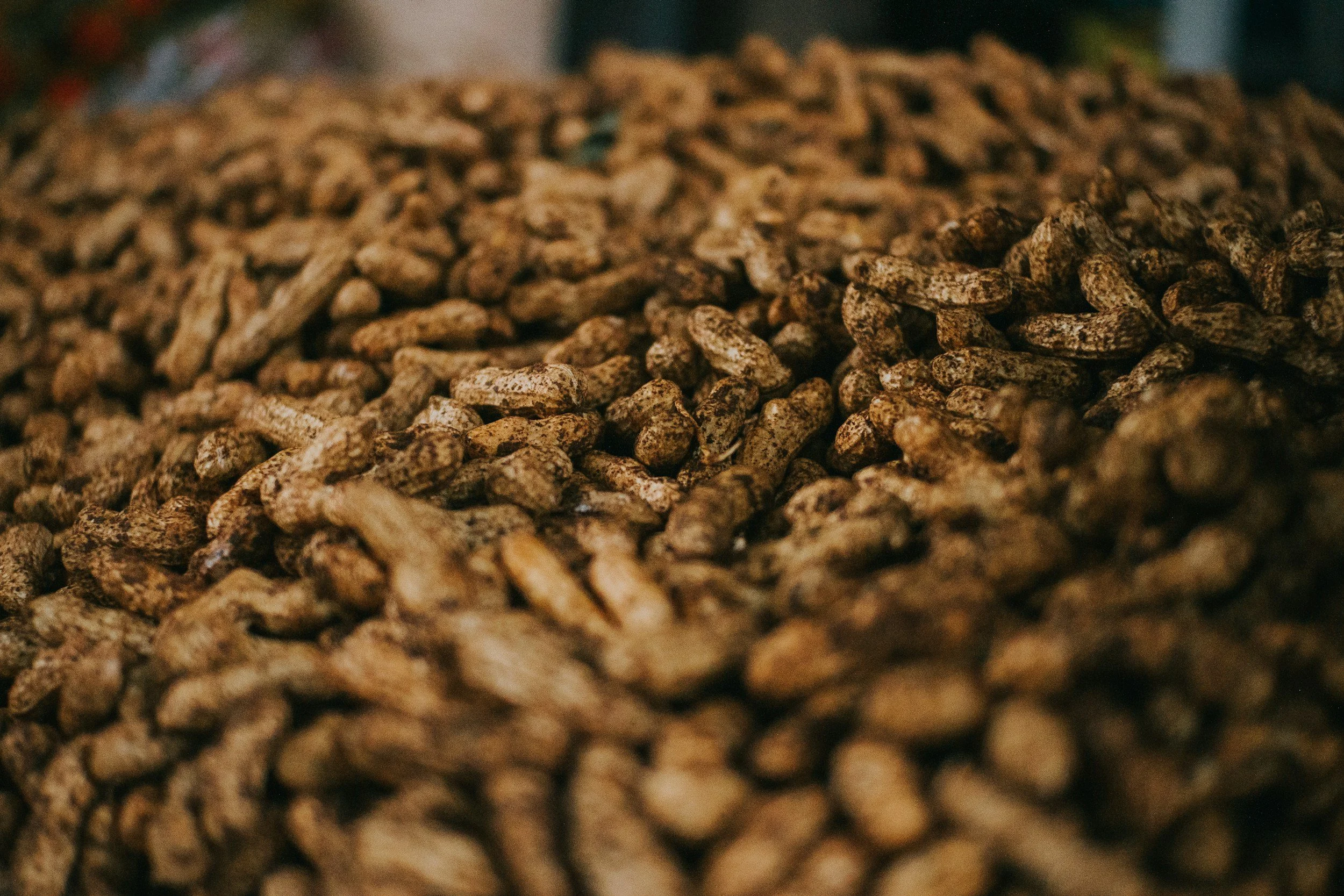 Hay vs Pellets: Do Rabbits &amp; Guinea Pigs Need Both?