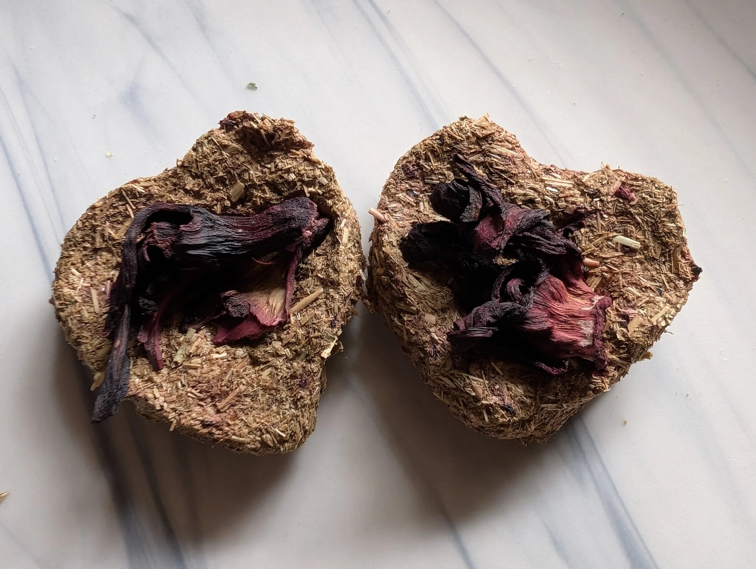 Hibiscus Hush M02.jpg