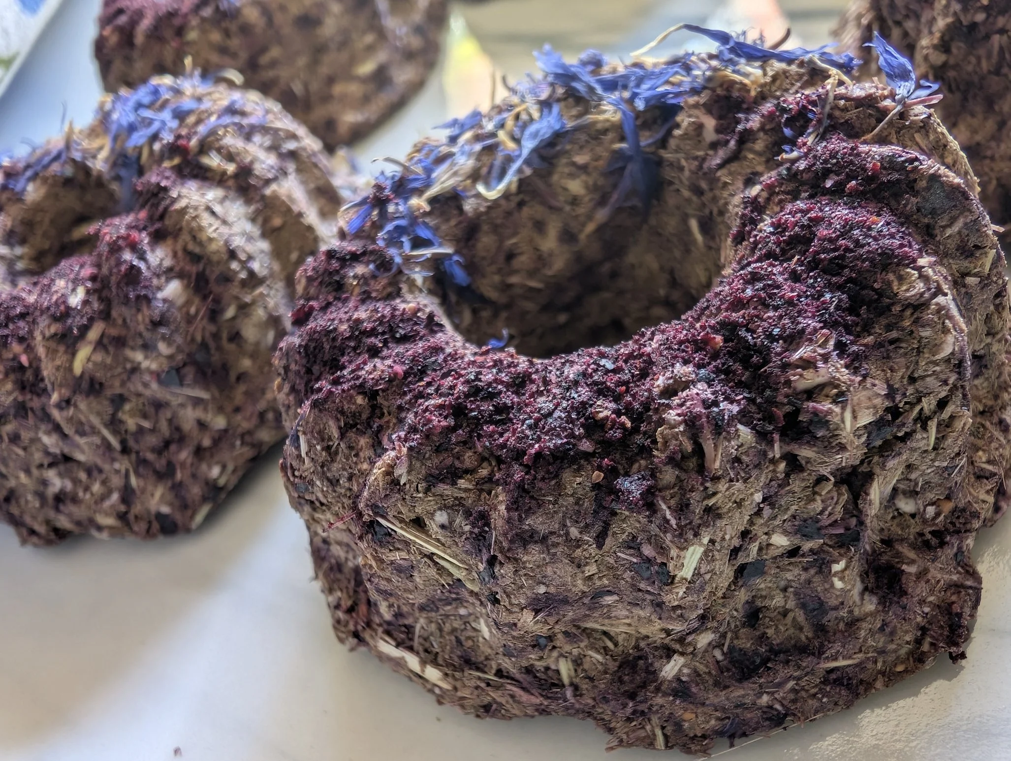 Blueberry Tart closeup.jpg