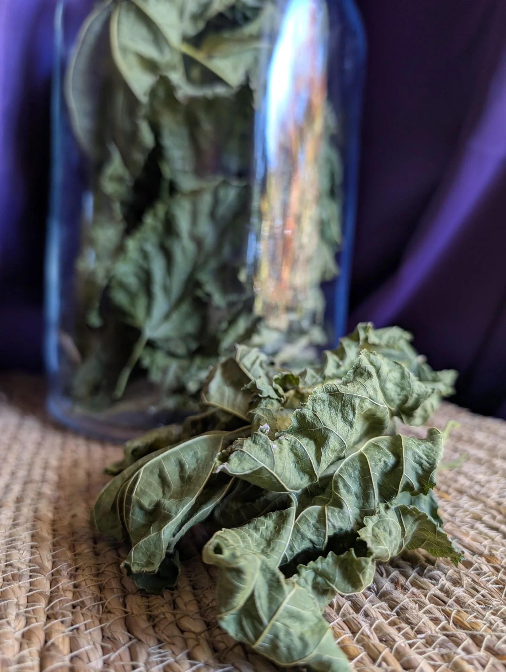 Dried Mulberry Leaves