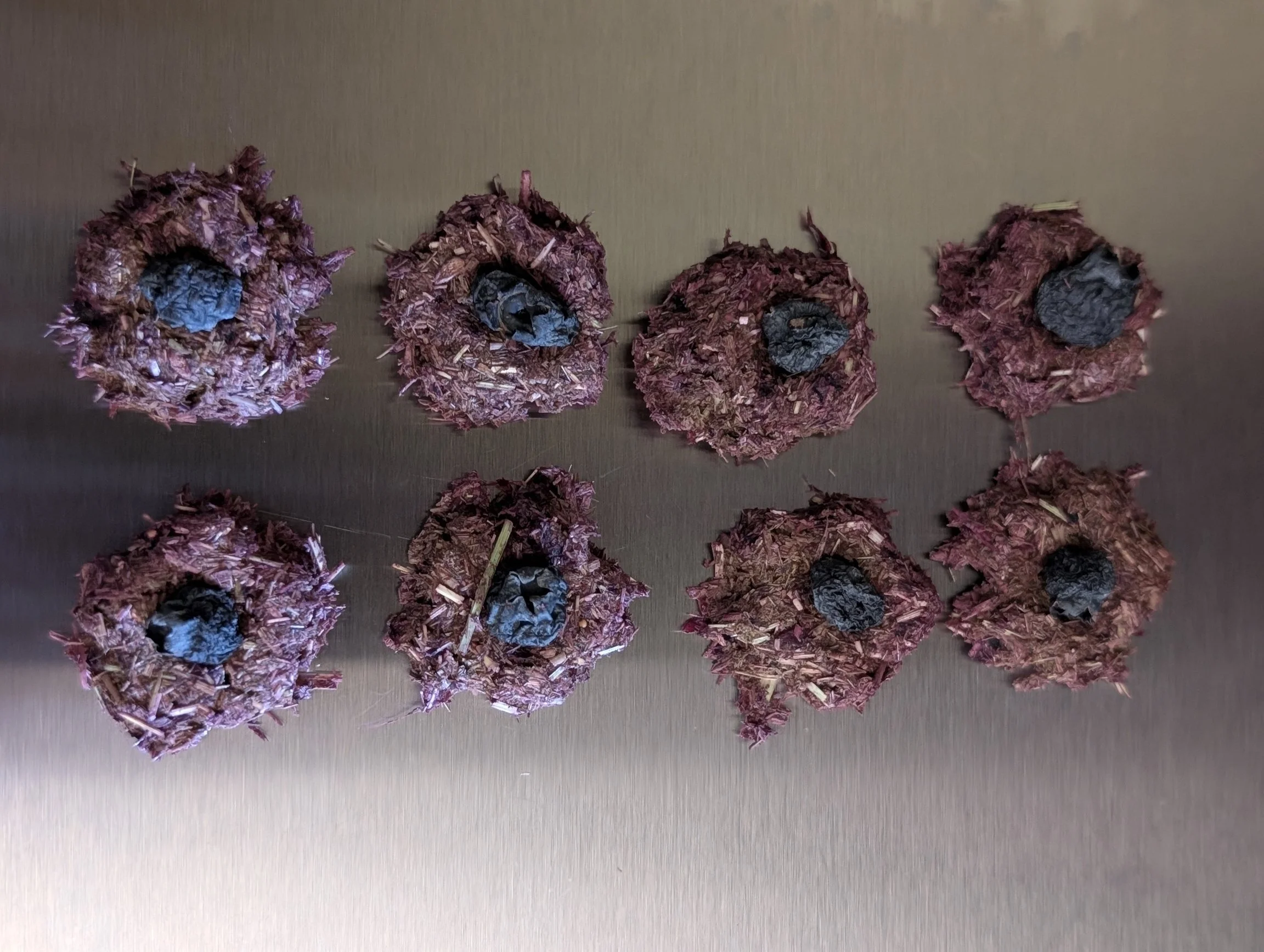 Berry Vine Time (S).jpg