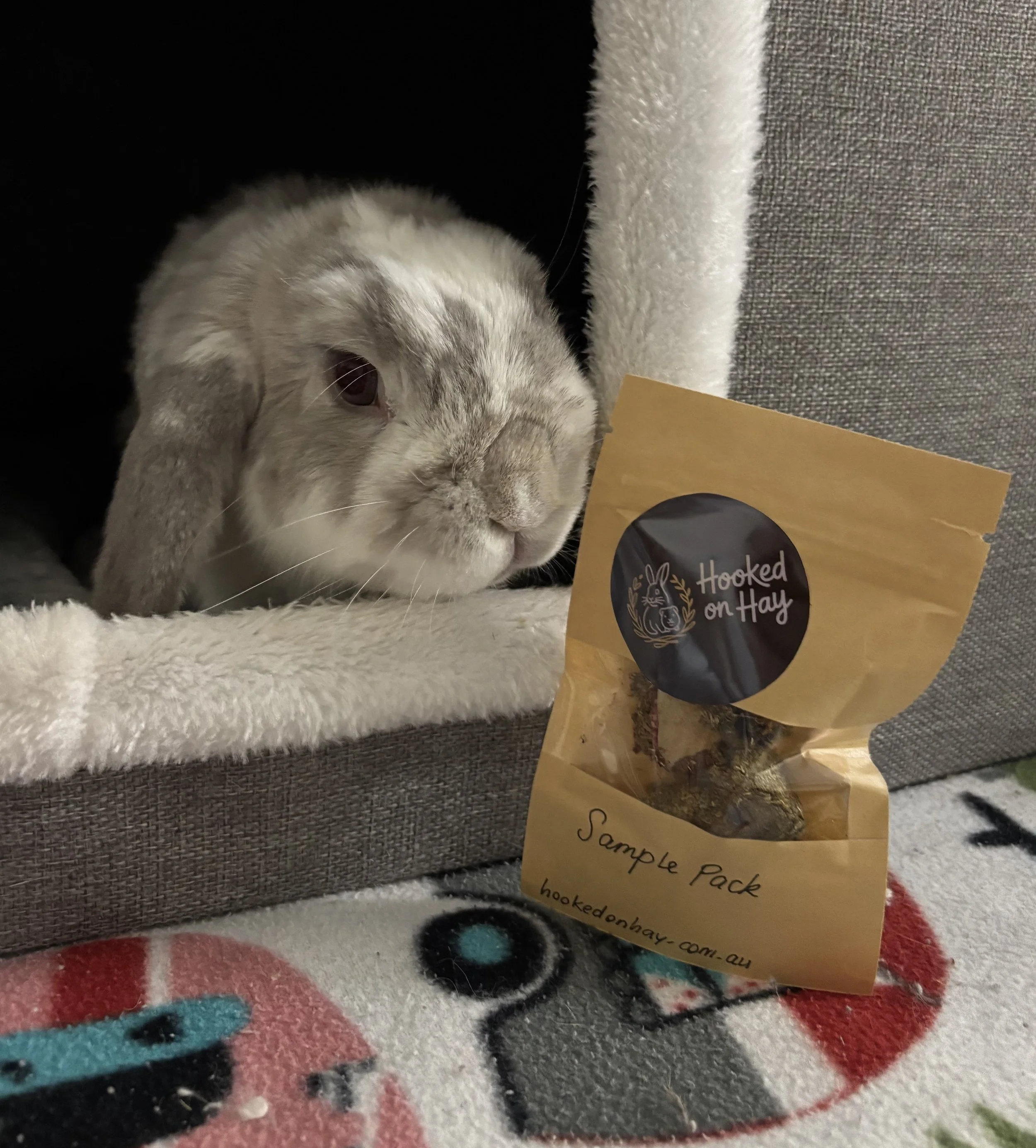 A gray and white rabbit resting in a cozy, plush cat tree next to a package of rabbit treats labeled 'Hooked on Hay' and 'Sample Pack'.