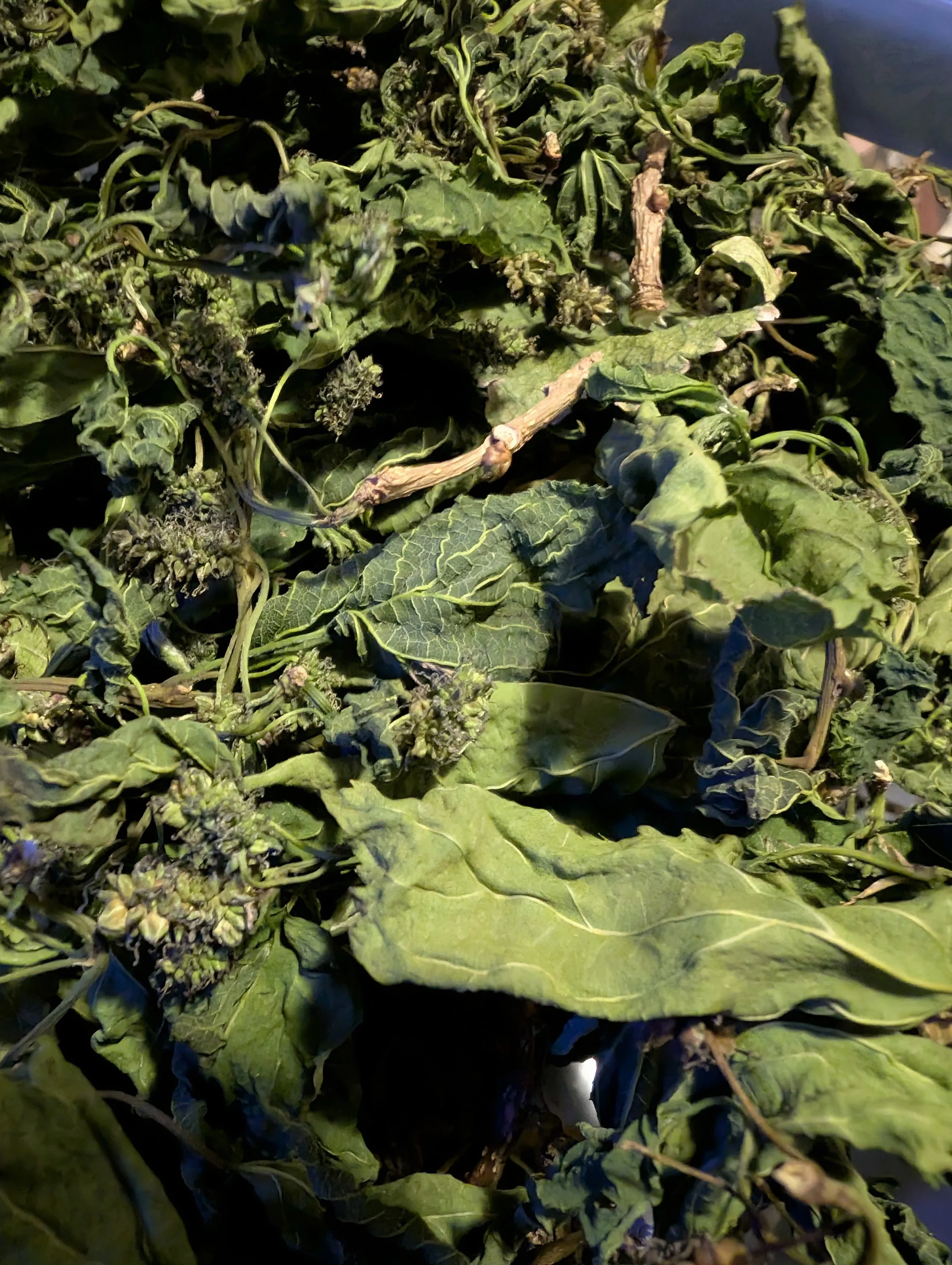 Mulberry Mania Chaff