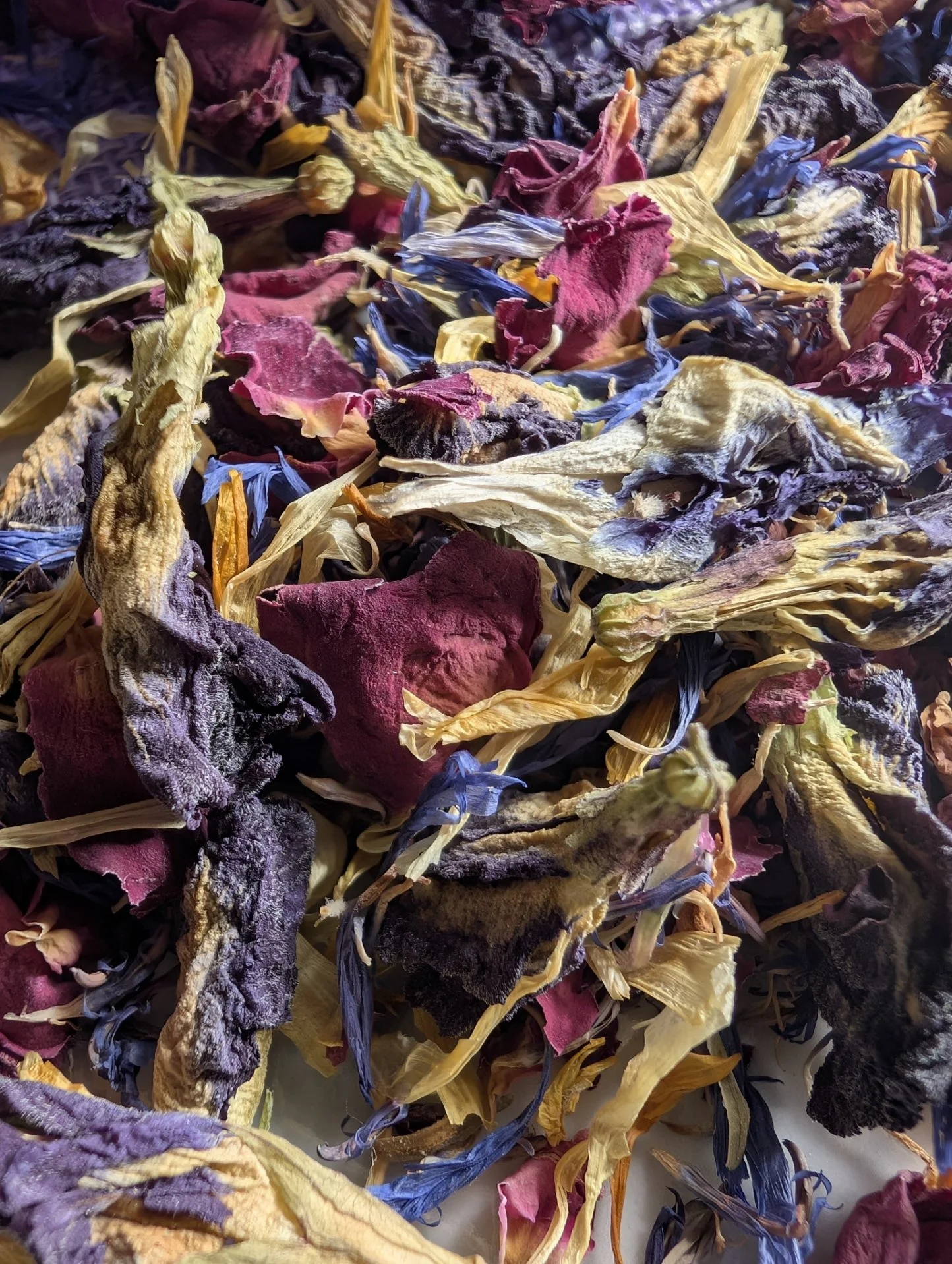 Starlight Sprinkle Closeup.jpg