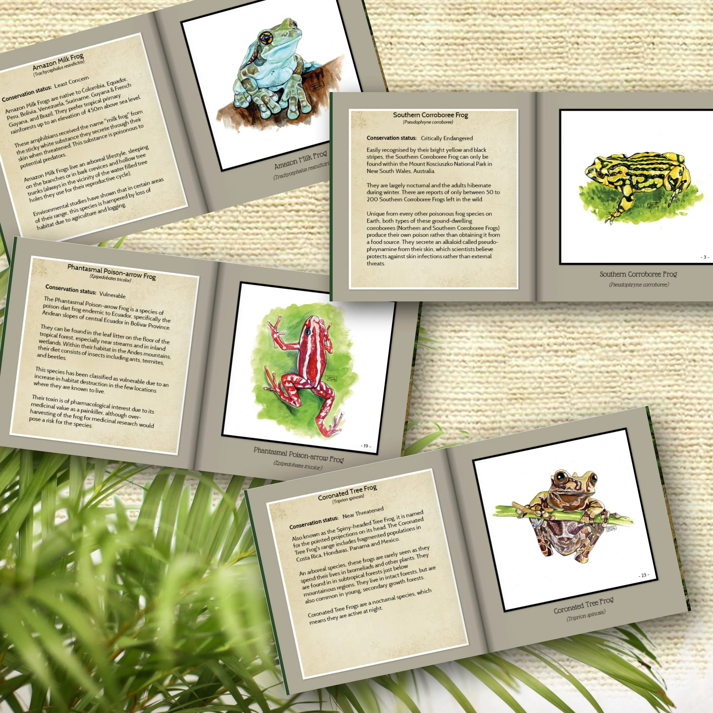frog promo-inside pages.jpg