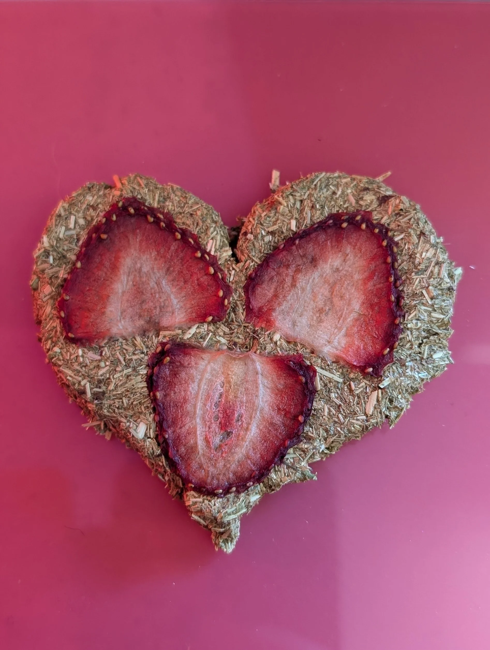 Nectar Fusion (L).jpg