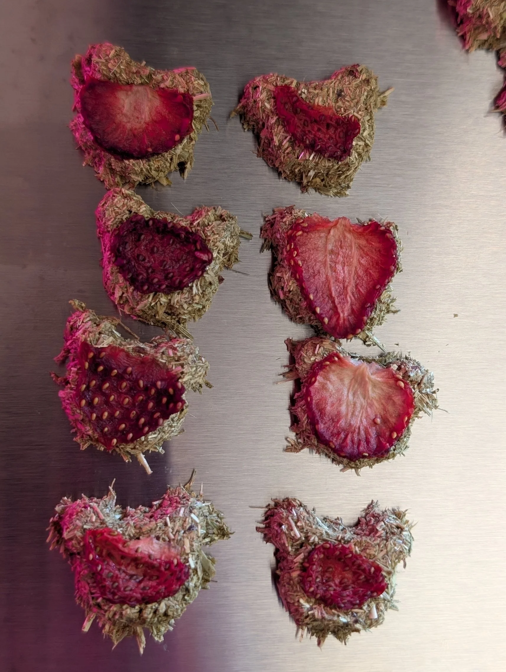 Nectar Fusion (S).jpg