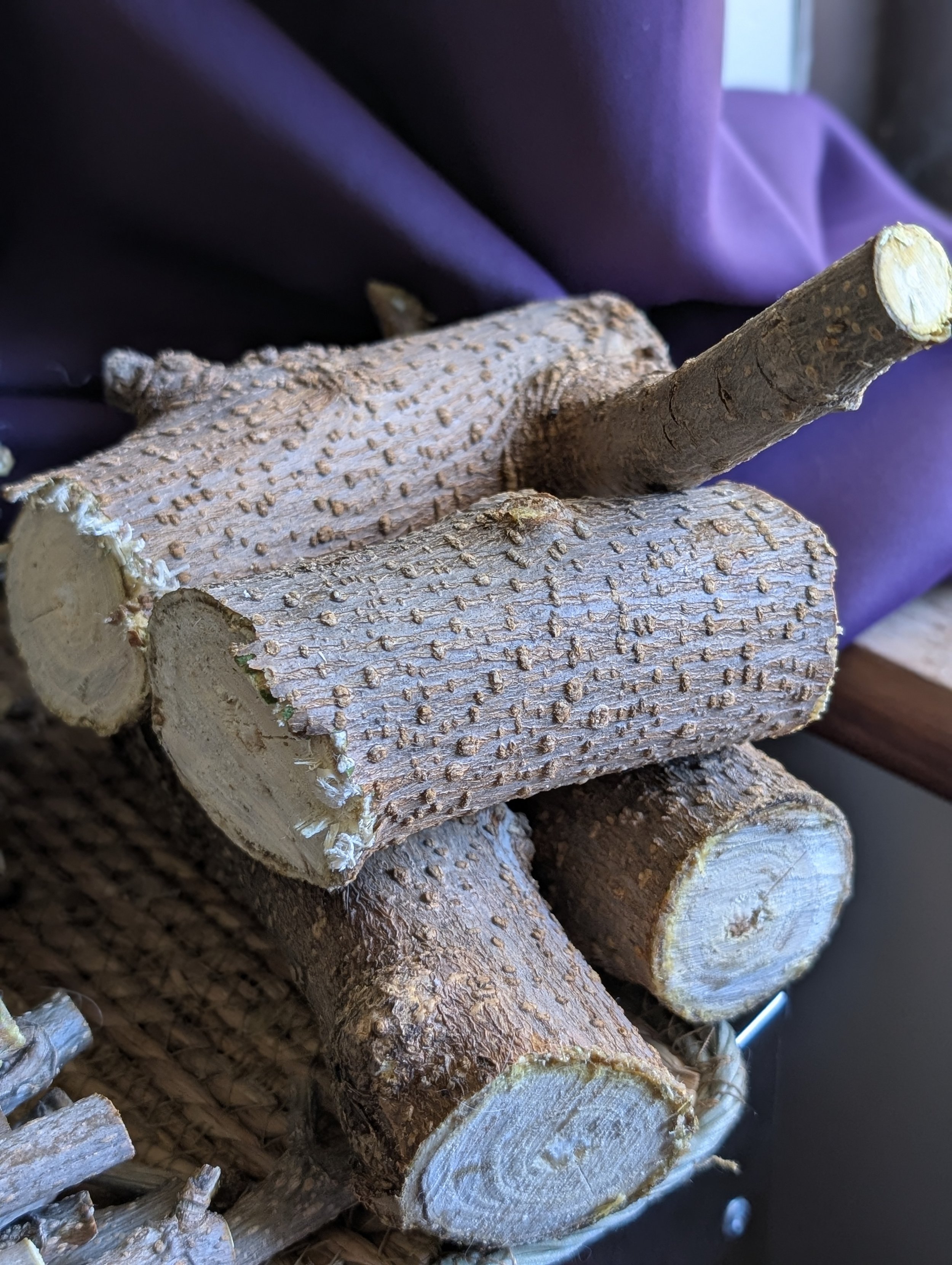 Mulberry Chew Logs.jpg