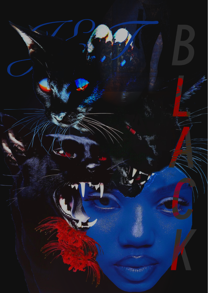 GD-07 (1).png