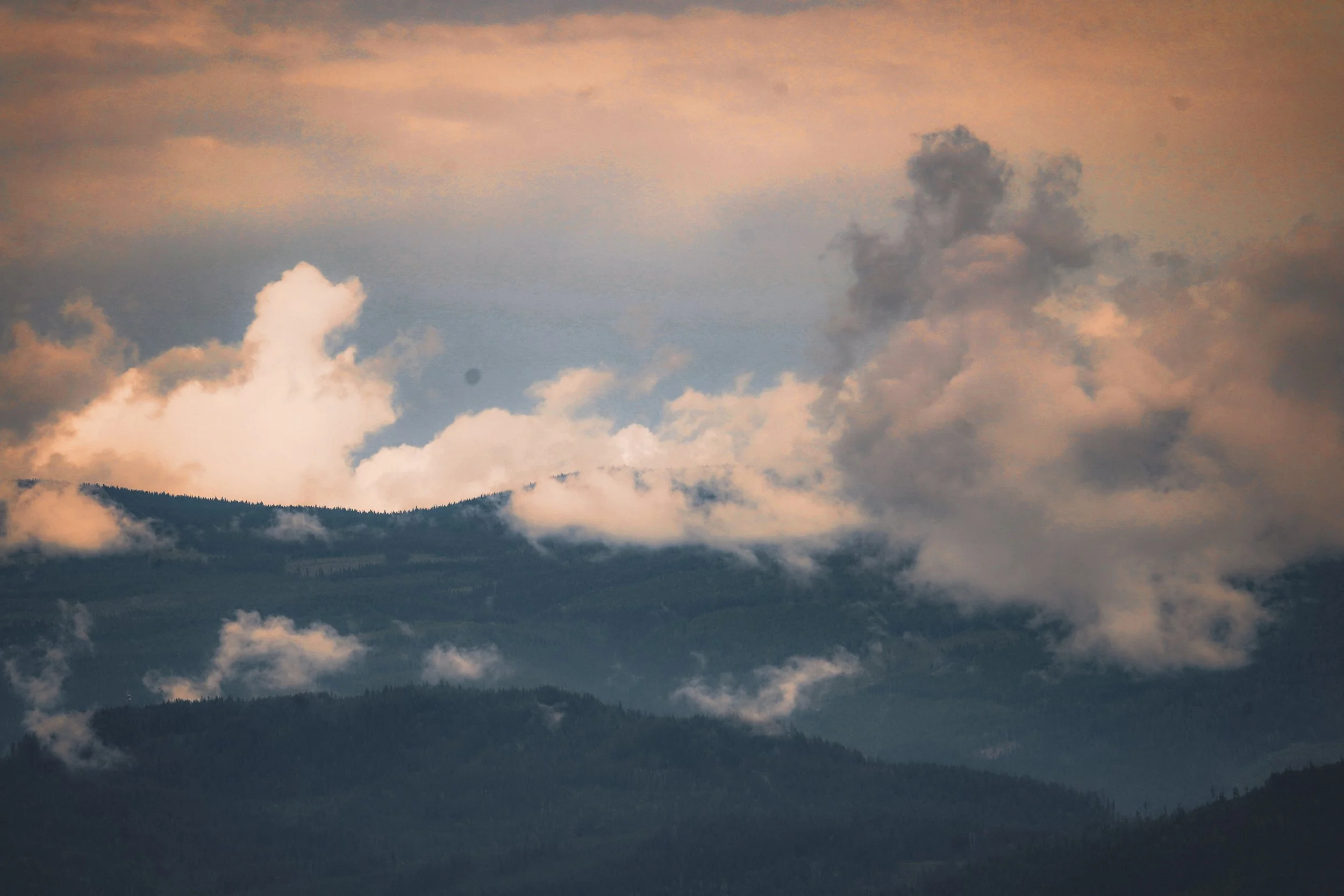 SUN04317_Original (1).JPEG