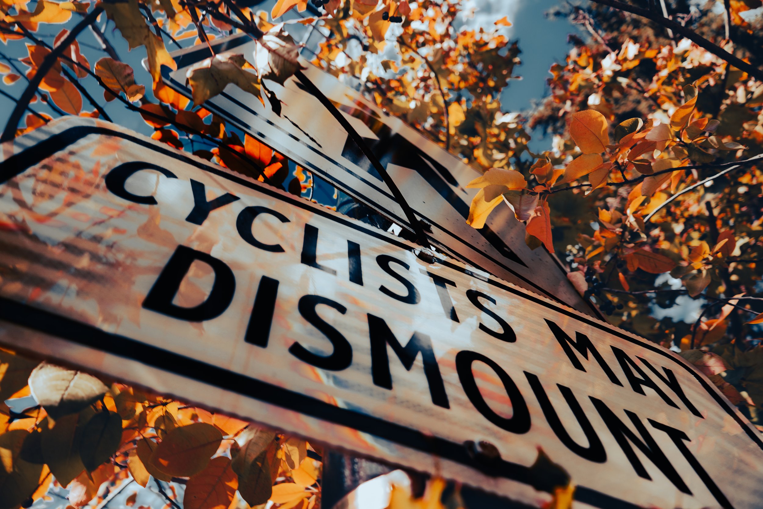 Close-up of a warning sign that says 'CYCLE ISMAN DISMOUNT' amidst autumn leaves on trees with a blue sky in the background.