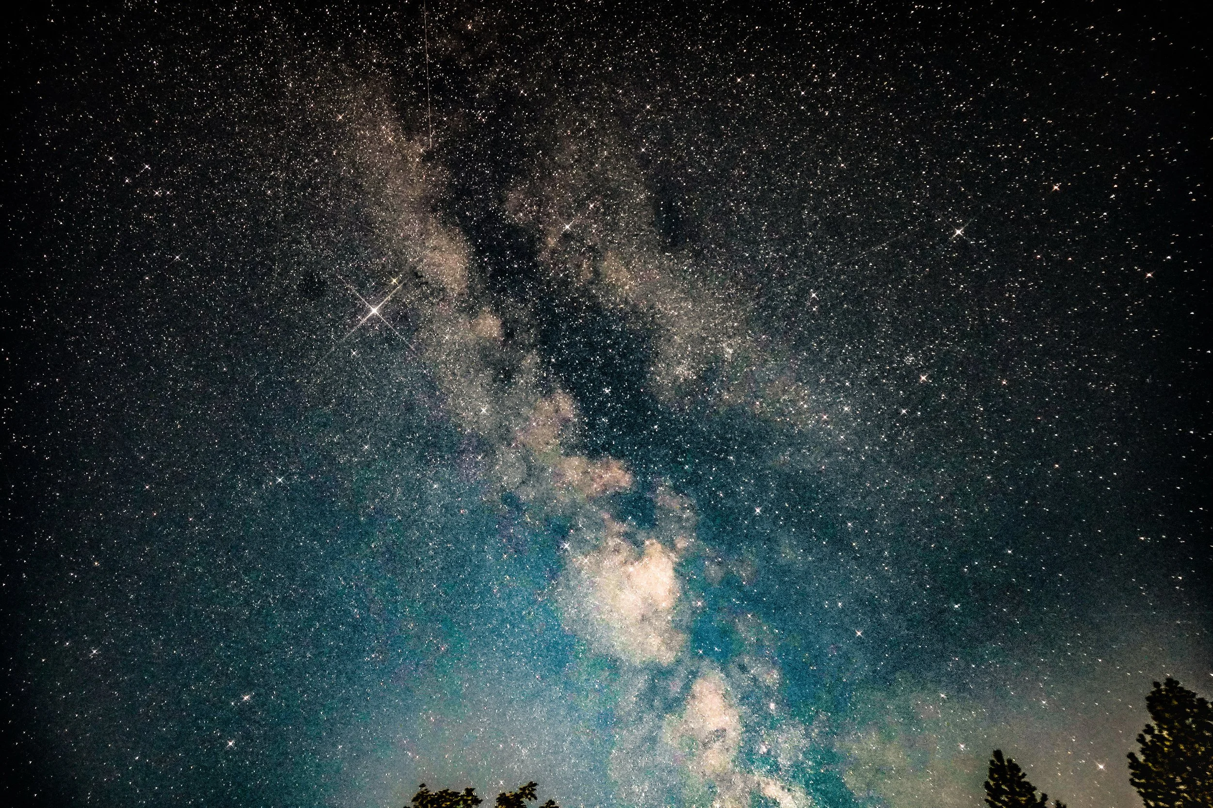 Night sky filled with stars and the Milky Way galaxy, with silhouettes of trees at the bottom.