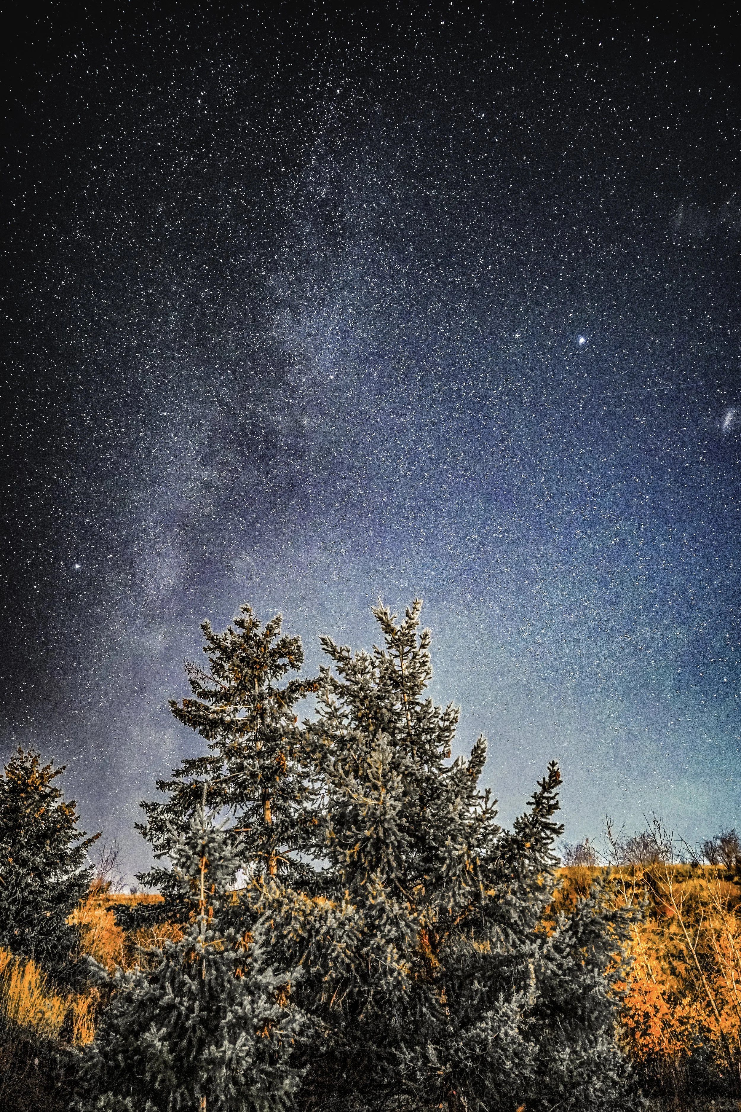 Beautiful picture of a forest hill with the milky way behind it.