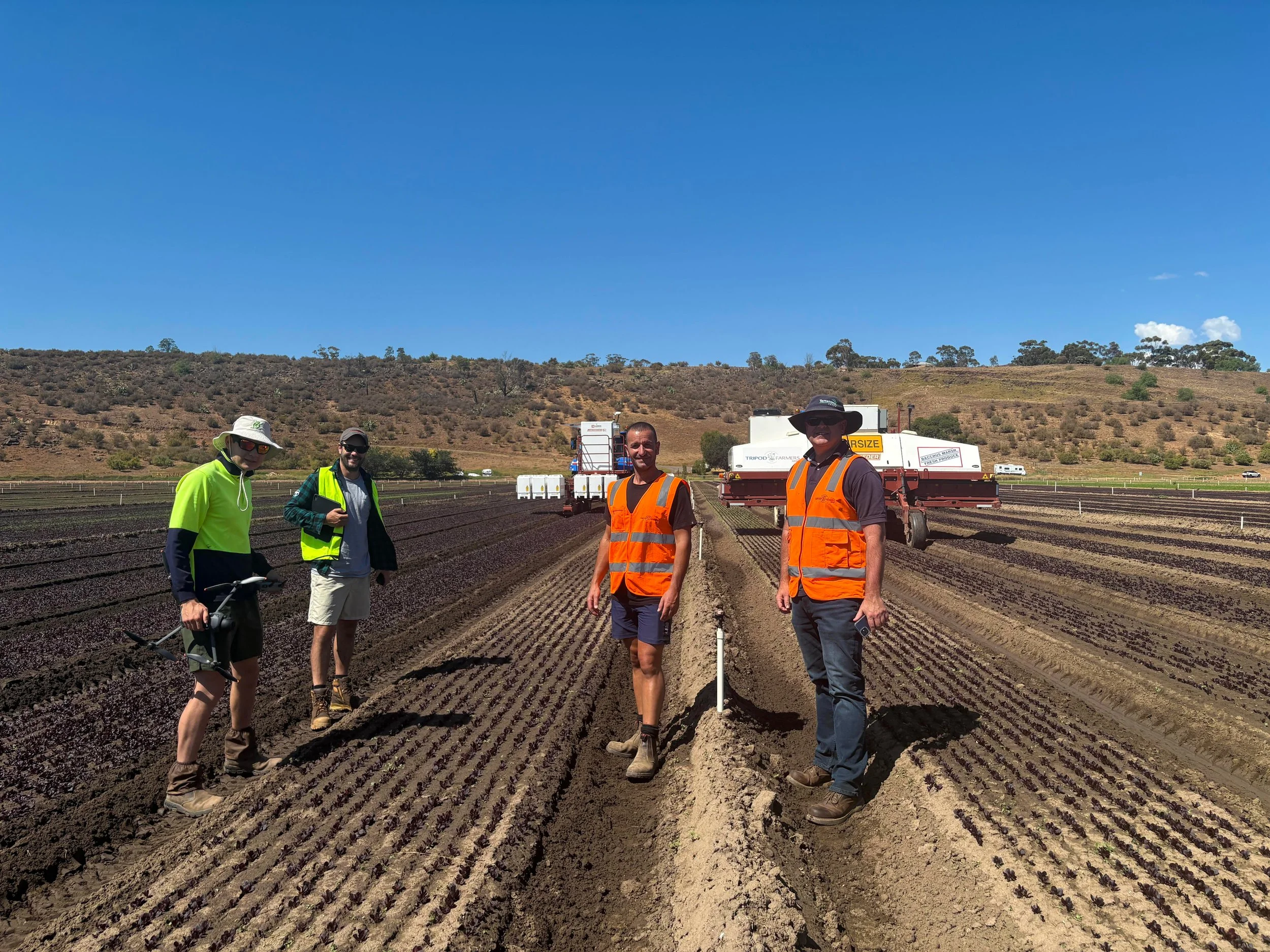 Co-designing the future of weed management