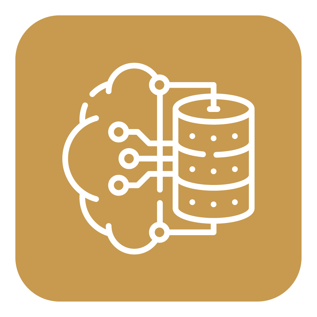 Icon representing artificial intelligence and data processing, with a stylized brain connected to a database symbol on a gold background.