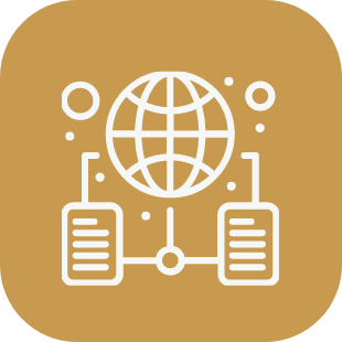 Icon of a globe connected to two server or database icons, representing global network or internet connectivity.