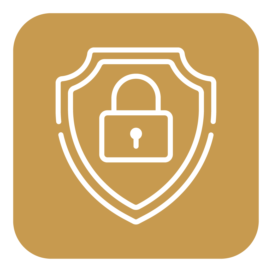 Icon of a shield with a padlock, representing security or protection.