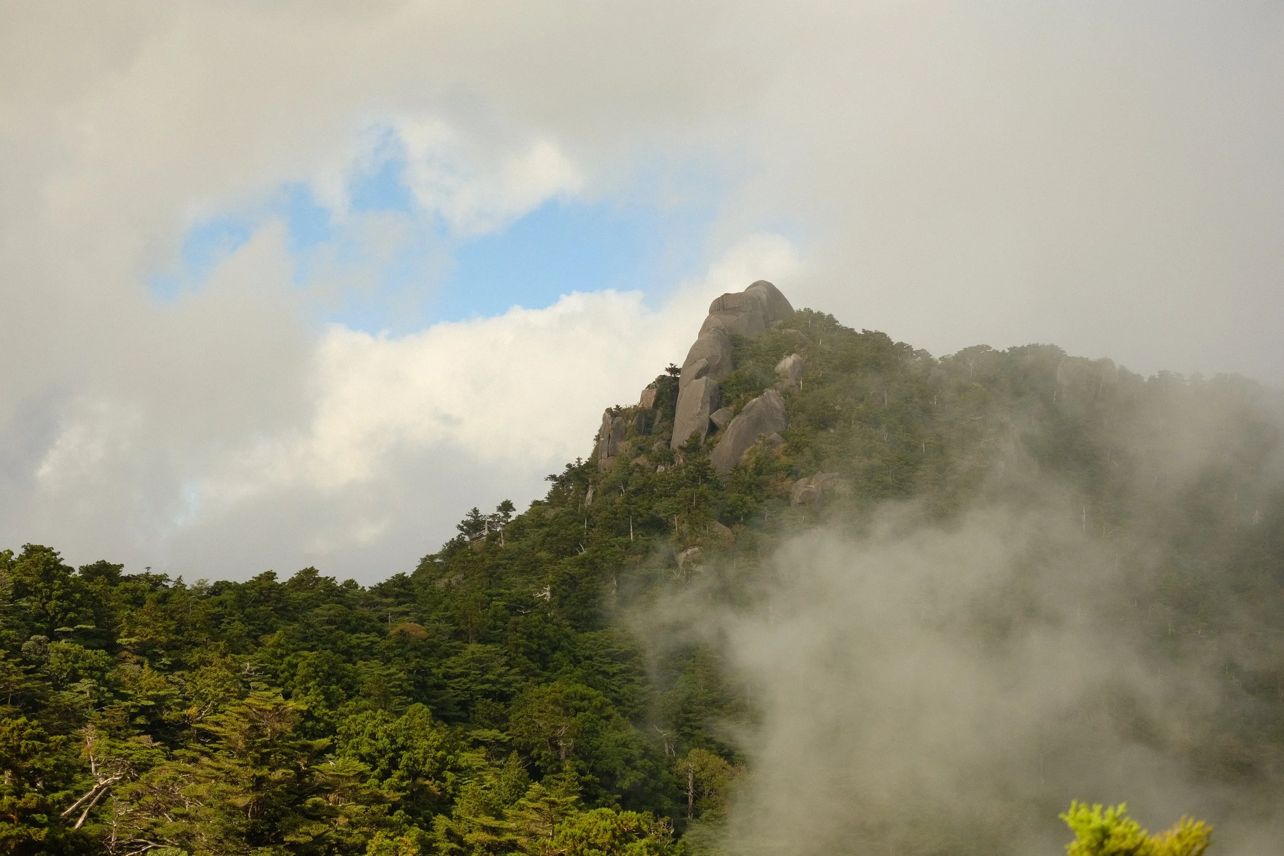 Mt Tachuu seen from below, Yakushima, Kagoshima, Japan