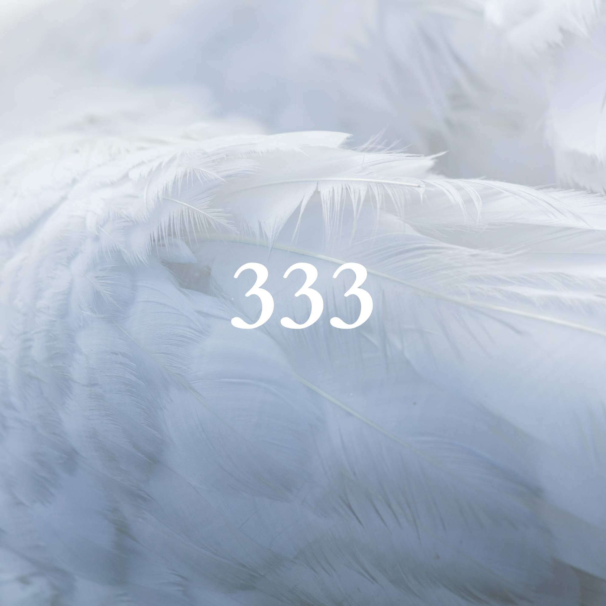 Angel Number Meaning 333