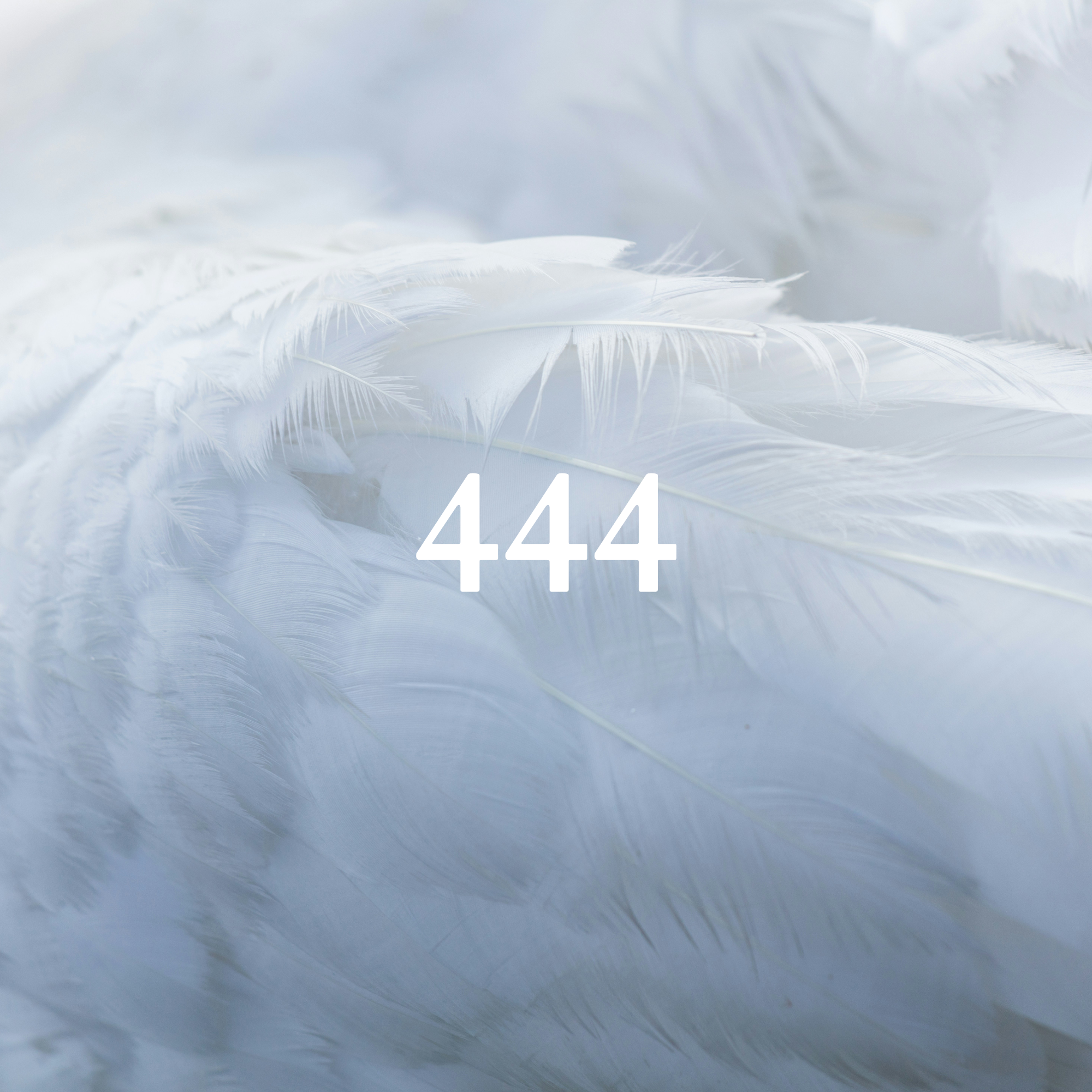 Angel Number Meaning 444