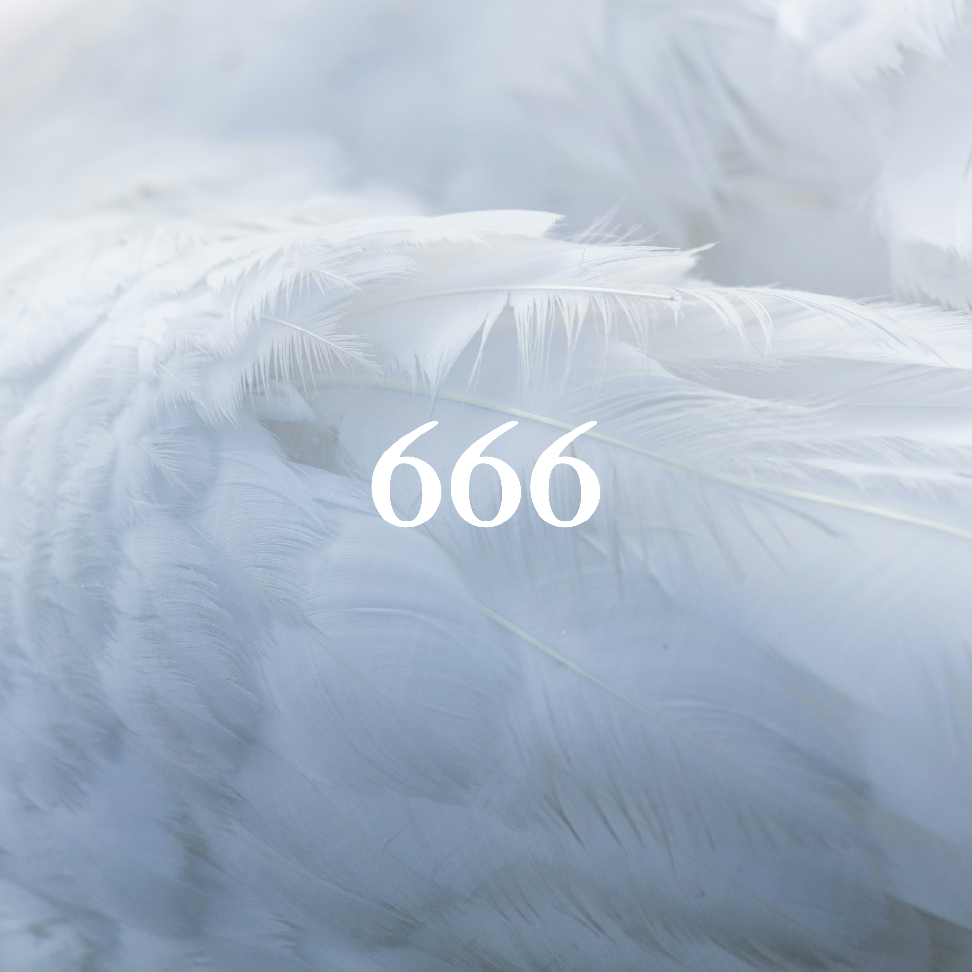 Angel Number Meaning 666