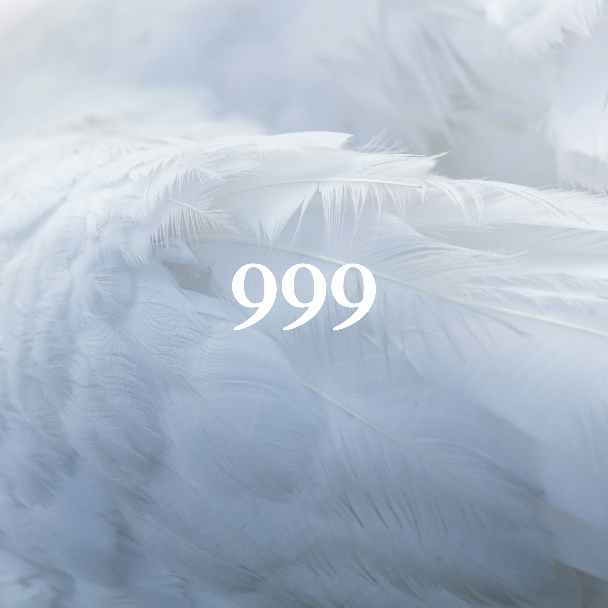 Angel Number Meaning 999