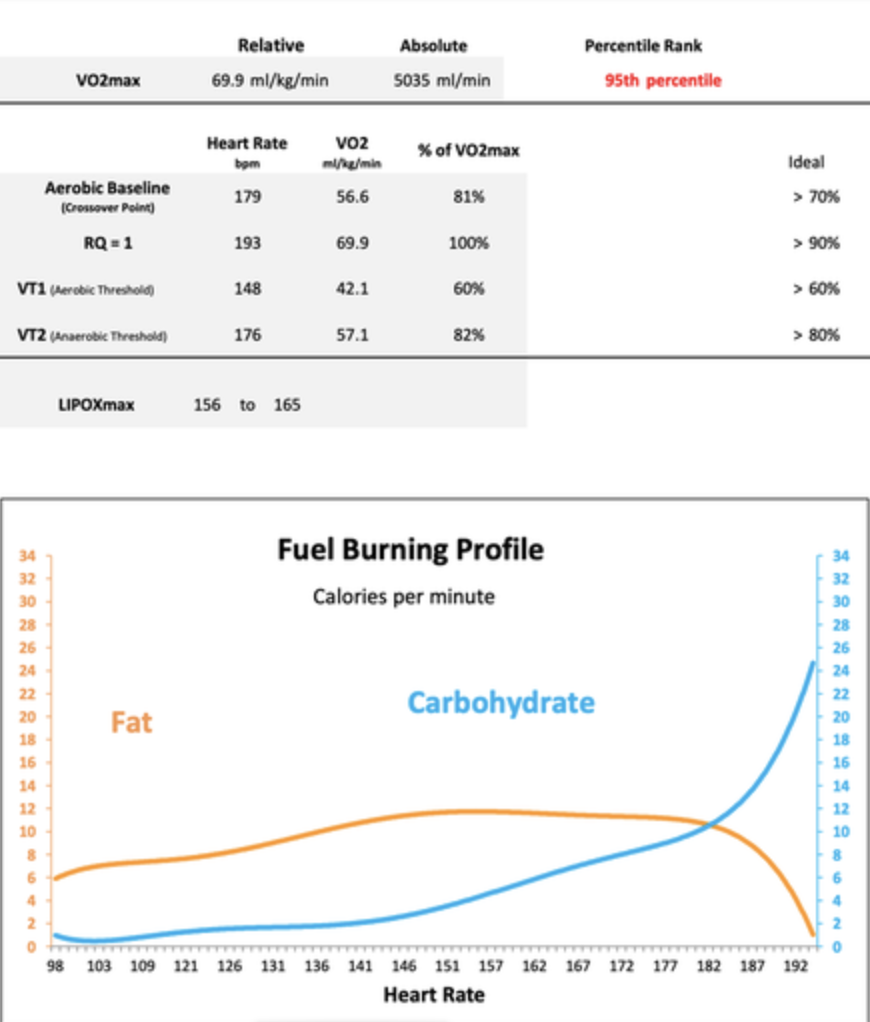 Physiologic metabolic test VO₂max zone 2