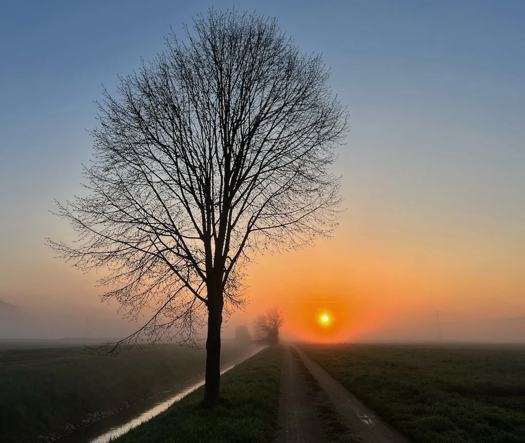 Gute Nachrichten – bei uns keine Rarität