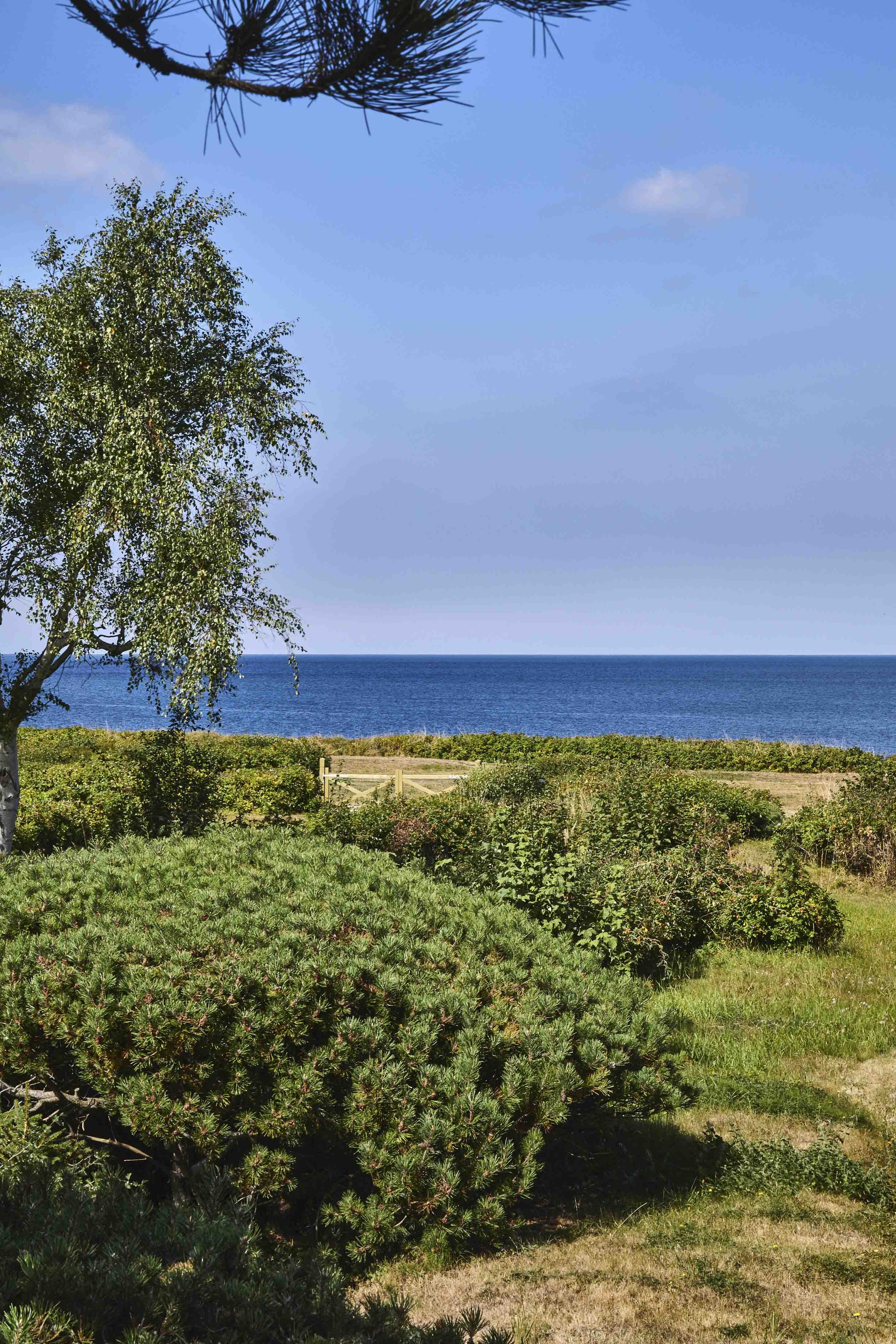 LS-Anders&Ninas.sommerhus.54_low.JPG
