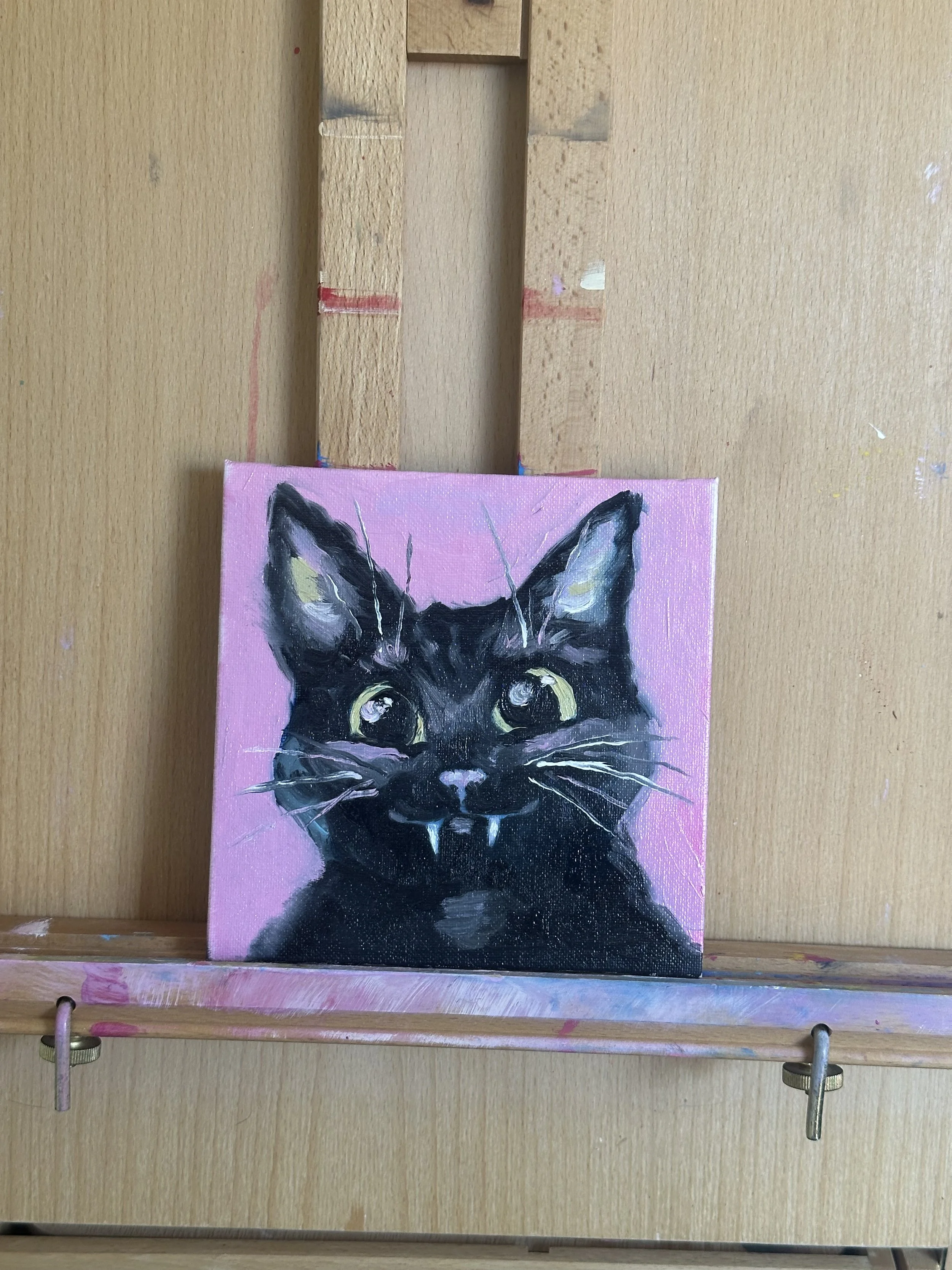 Cat No. 2