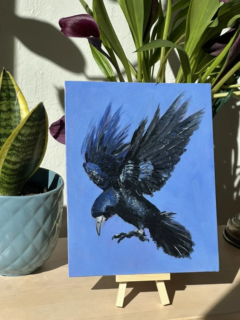Raven in Flight - 8x10 inch original