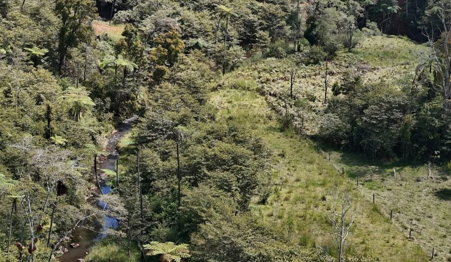 A lush green landscape with a small river flowing through a dense forest and a grassy meadow with several fence posts.