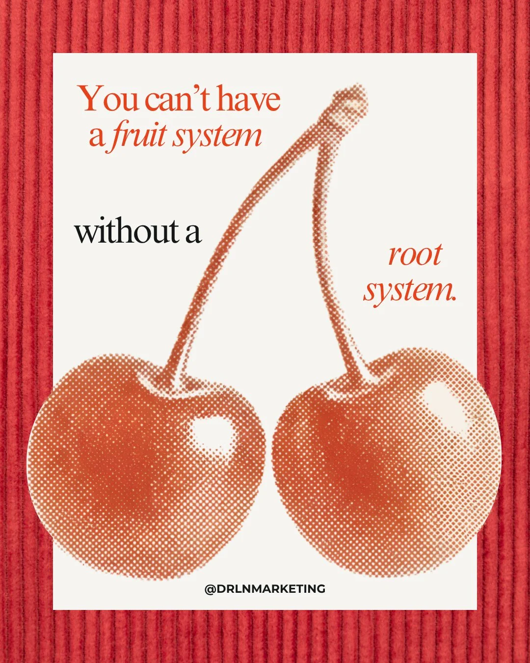 You can't have a fruit system without a root system! ⁠Before we scale ads, build campaigns, or launch a strategy, we look at the foundation.⁠
⁠
The ROOTS framework breaks down five core areas that determine whether marketing actually works.⁠ Swipe to