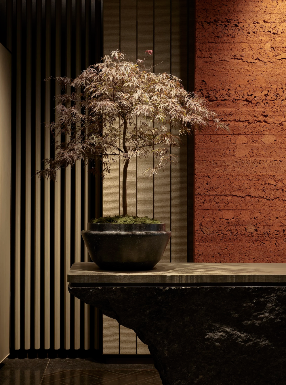Indoor scene featuring a potted Japanese maple tree on a stone table with vertical slat wall, textured beige wall, and red brick wall in background.