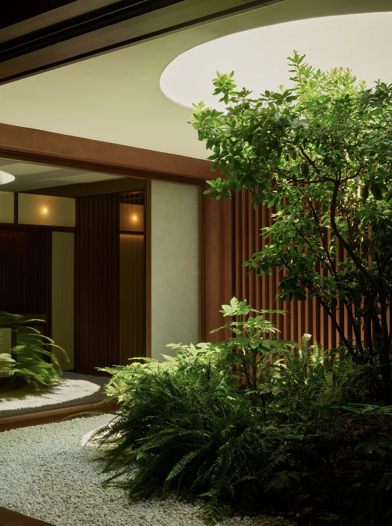 Interior view of a modern room with a garden outside, featuring lush green plants, white pebbles on the ground, and wooden walls with vertical slats.