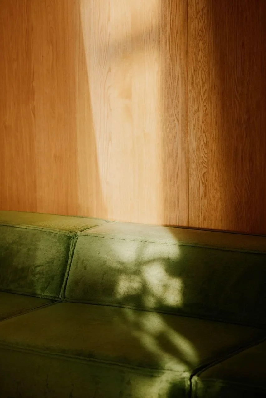 Shadow of a person taking a photo reflected on a green upholstered couch against a wooden wall.