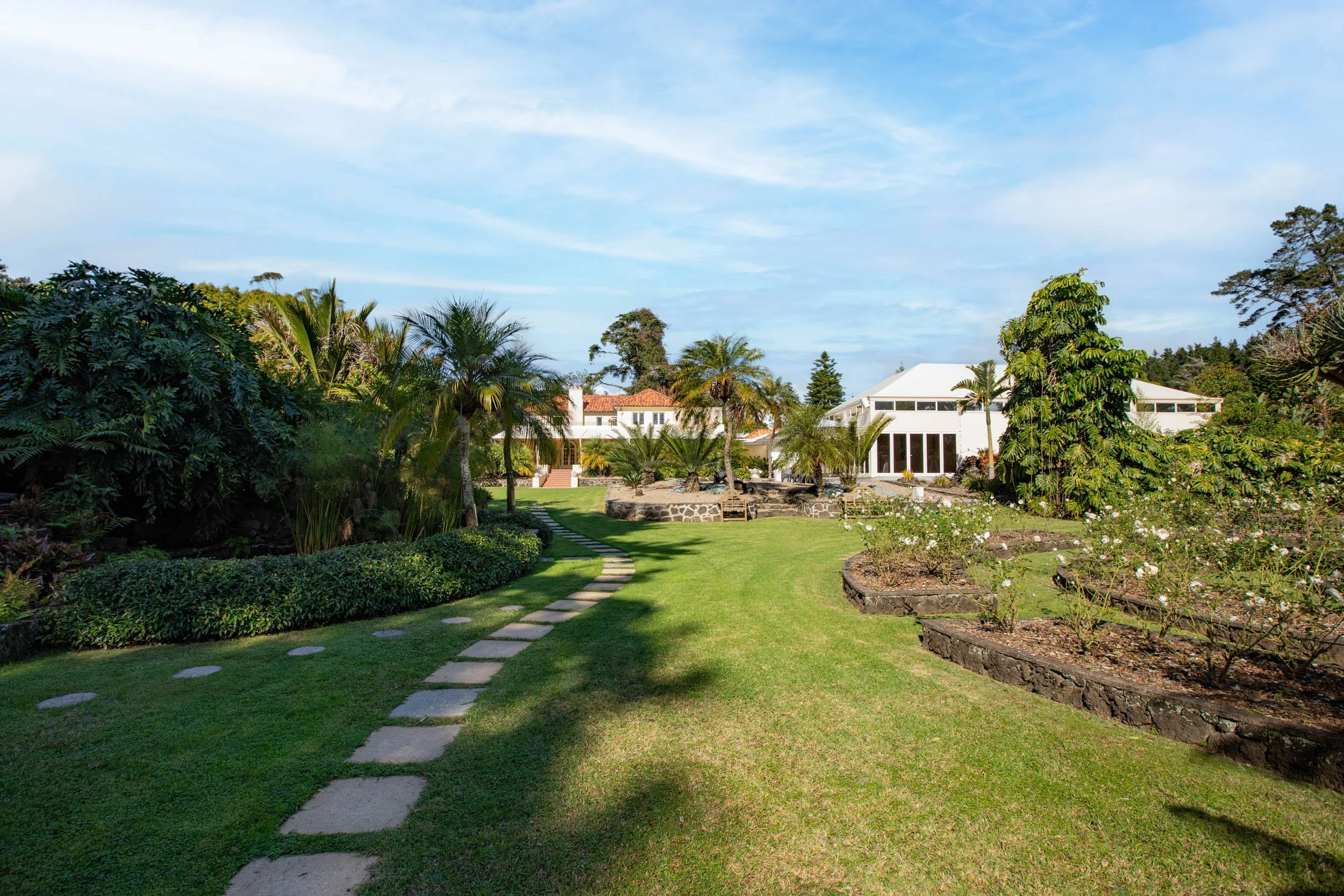 The Lawn