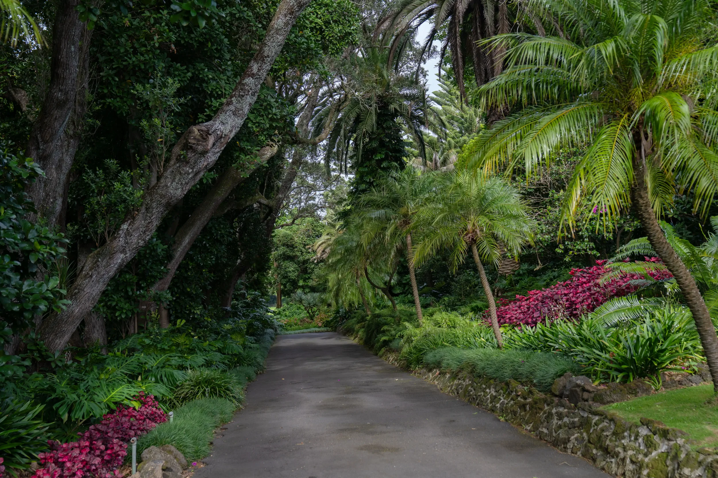 The Driveway.webp