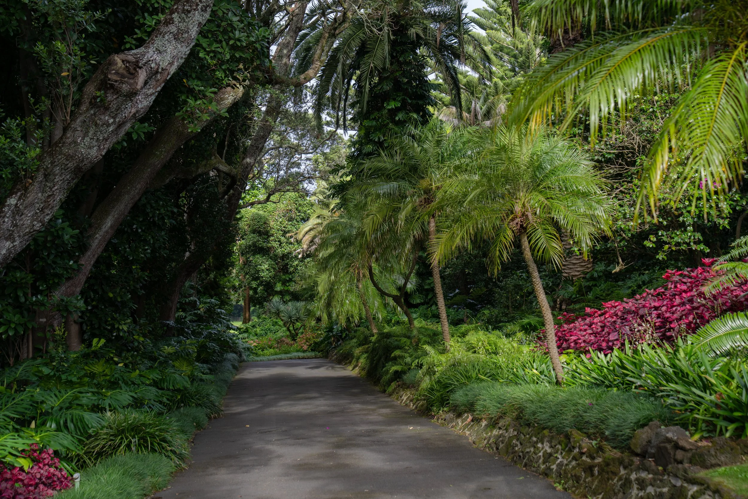 The Driveway