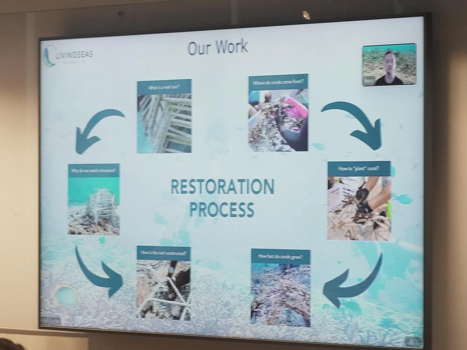 WhatsApp Image 2026-03-12 at 1.17.14 PM.jpeg