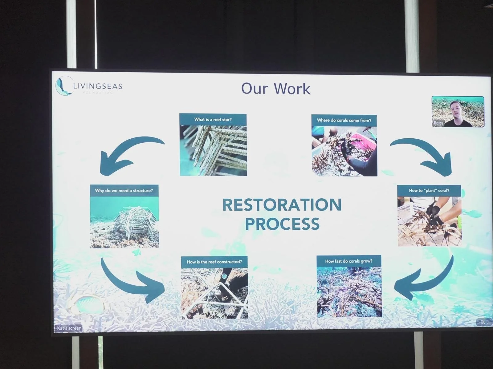 WhatsApp Image 2026-03-12 at 1.17.17 PM.jpeg