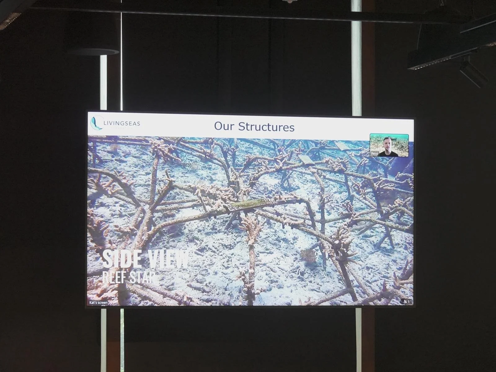 WhatsApp Image 2026-03-12 at 1.18.00 PM (1).jpeg