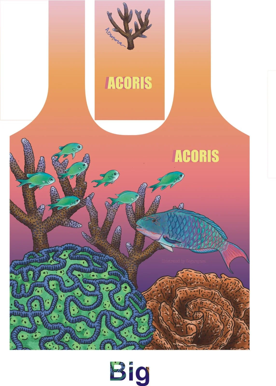 TOTE BAG - SUNSET REEF.jpg (Copy)