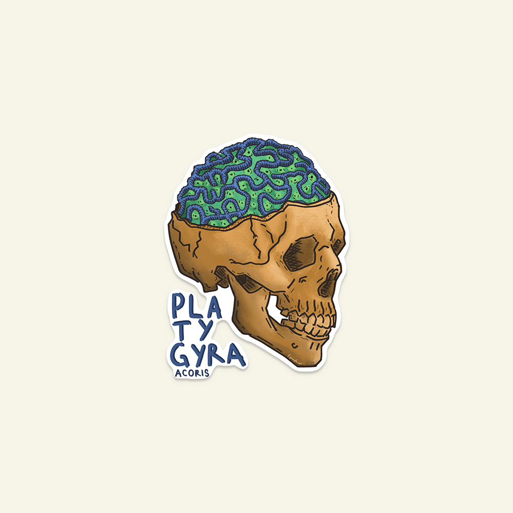 Artboard 6.png (Copy)