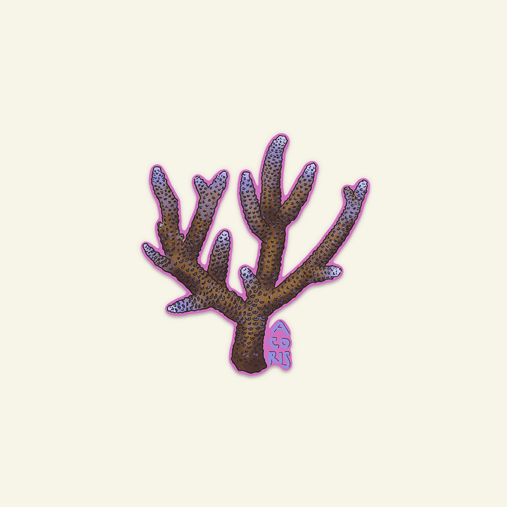 Artboard 18.png (Copy)