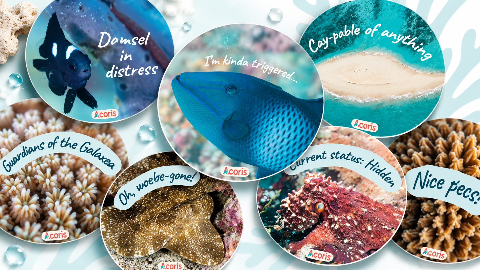 Playful Ocean Conservation Sticker Collage.png