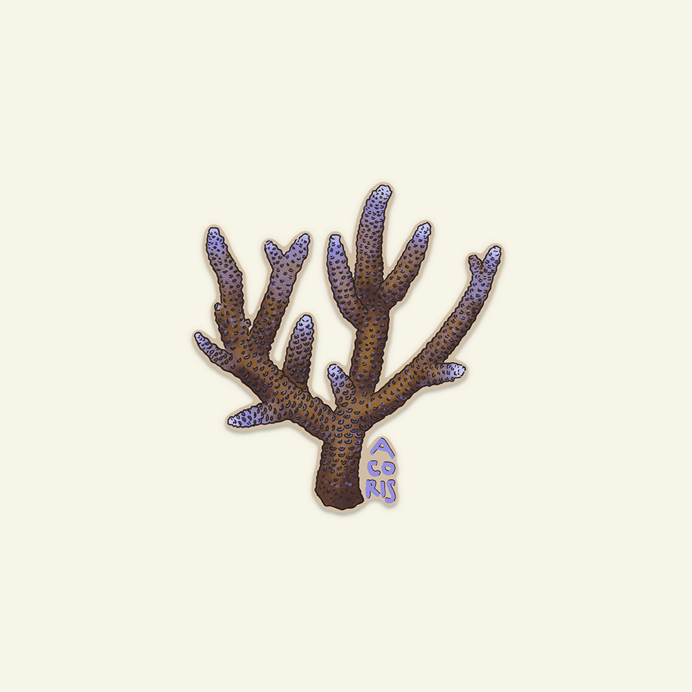 Artboard 19.png (Copy)