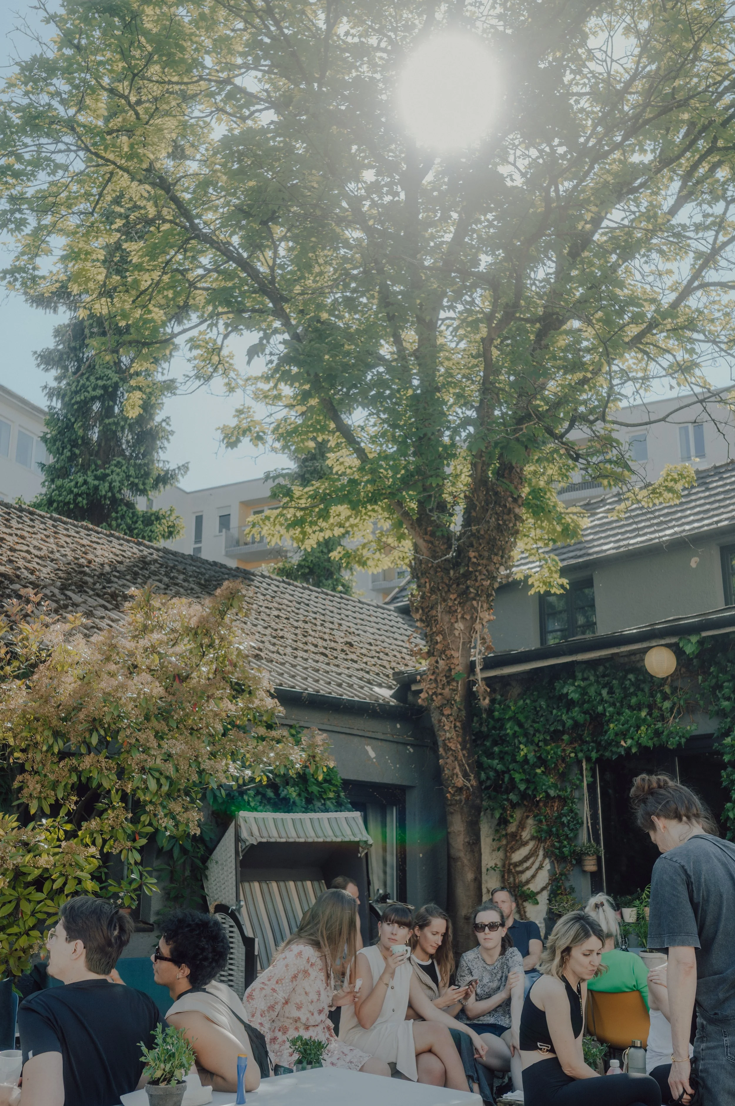 Menschen versammeln sich im Garten eines Hauses, während die Sonne durch die Bäume scheint und es scheint, dass sie eine soziale Veranstaltung oder ein Treffen genießen.